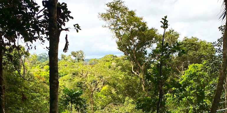 Guyana CIFOR Manuel Lopez.jpg