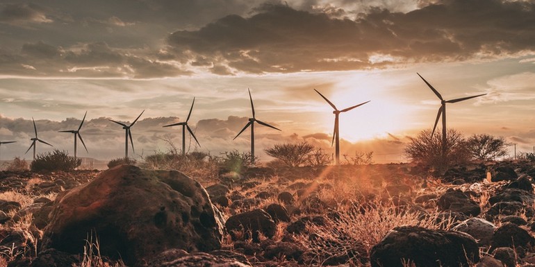 Turkana wind farm 2.jpg