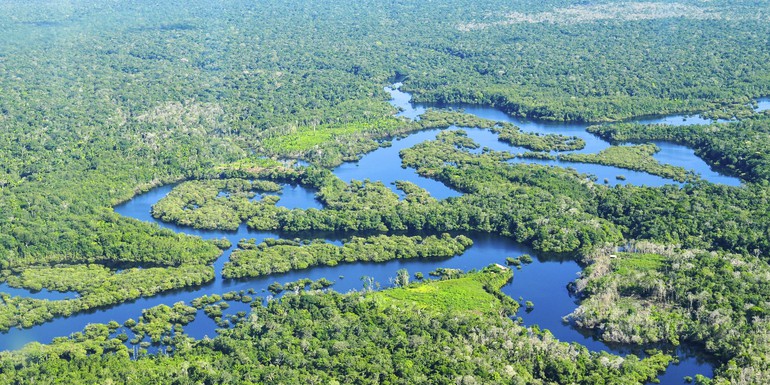 amazon forest 2 CIFOR Neil Palmer.jpg