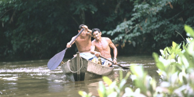 indigenous people world bank brazil.jpg